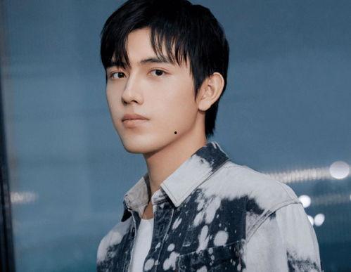 男主是歌手女主是演员,跨界情缘