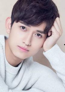 吕鹏个人背景,从平凡起点到杰出成就的奋斗历程