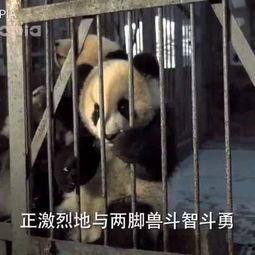 搞笑的说再见,搞笑说再见大集合